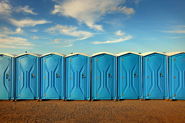 Best Portable Toilets with Baby Changing Stations  in Bonadelle Ranchos, CA